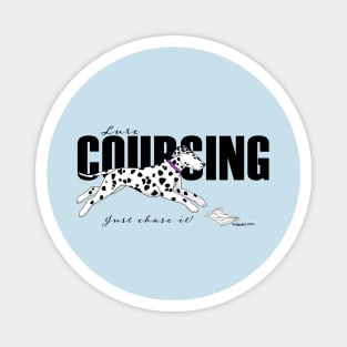 Dalmatian Lure Coursing Magnet